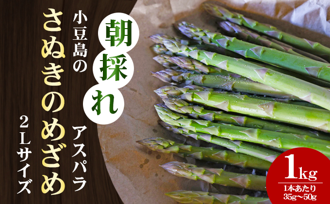 【 小豆島 】【 先行予約 】小豆島の朝採れアスパラ 『さぬきのめざめ』2Lサイズ1kg（2月中旬～5月中旬出荷） 朝採れ アスパラ アスパラガス さぬきのめざめ 野菜 やさい 香川 香川県 土庄 土庄町