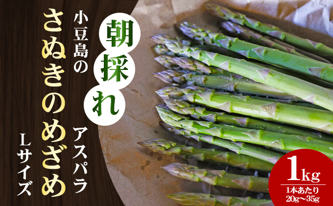 【 小豆島 】小豆島の朝採れアスパラ『さぬきのめざめ』Lサイズ1kg