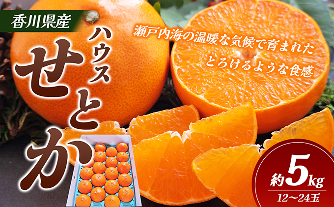 【 小豆島 】 ハウスせとか 約５kg 柑橘 せとか 瀬戸香 ハウス 果物 フルーツ くだもの 瀬戸内 くだもの 国産 香川 香川県 土庄 土庄町