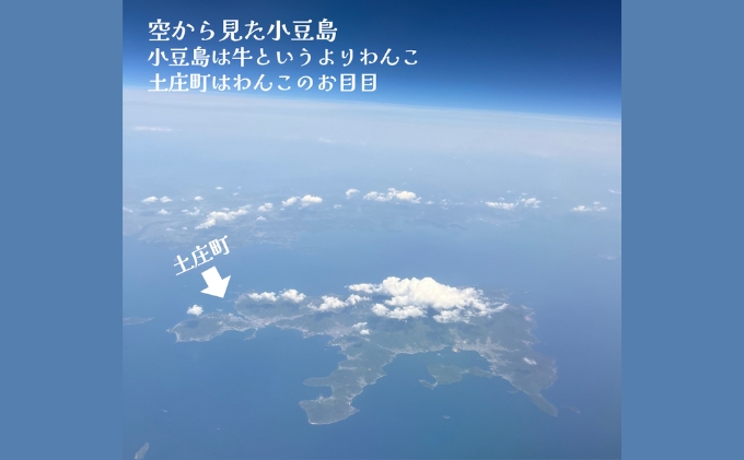小豆島産オリーブオイル 100% 搾りたて小豆島産三代松家オリーブオイル (エクストラバージンオイル・濾過) 67ml 3本
