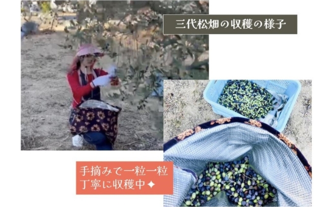 小豆島産オリーブオイル 100% 搾りたて 小豆島産三代松家オリーブオイル (エクストラバージンオイル・無濾過) 120ml 2本