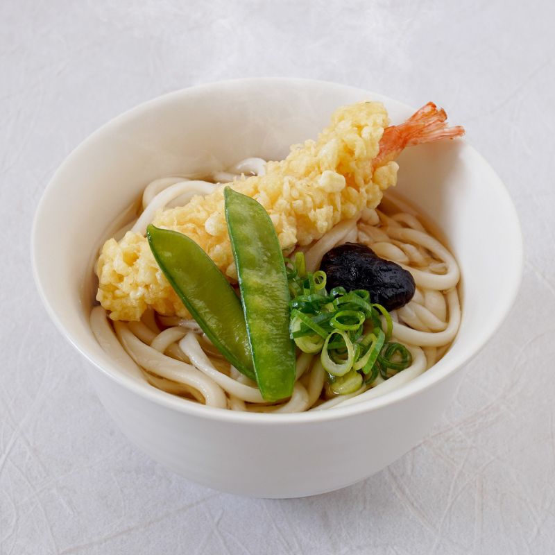 さぬき小豆島　手延冷凍調理うどん6種　セット（カレー/えび天/牛肉/かきあげ/きつね/餅入りえび天）