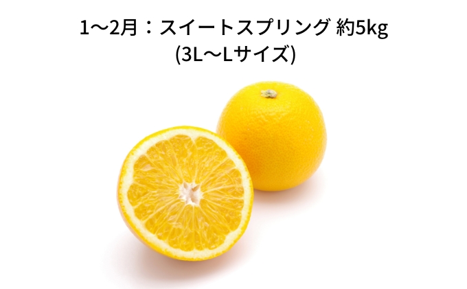 【 小豆島 】【6回お届け】土庄町 旬の果実 定期便 6回