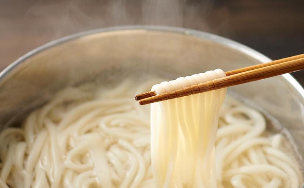 【ギフト用】手延べ半生こびきうどん 20袋入り（贈答用・熨斗つき）