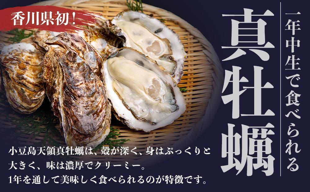 小豆島 天領真牡蠣 (殻付き生食用) 50個セット