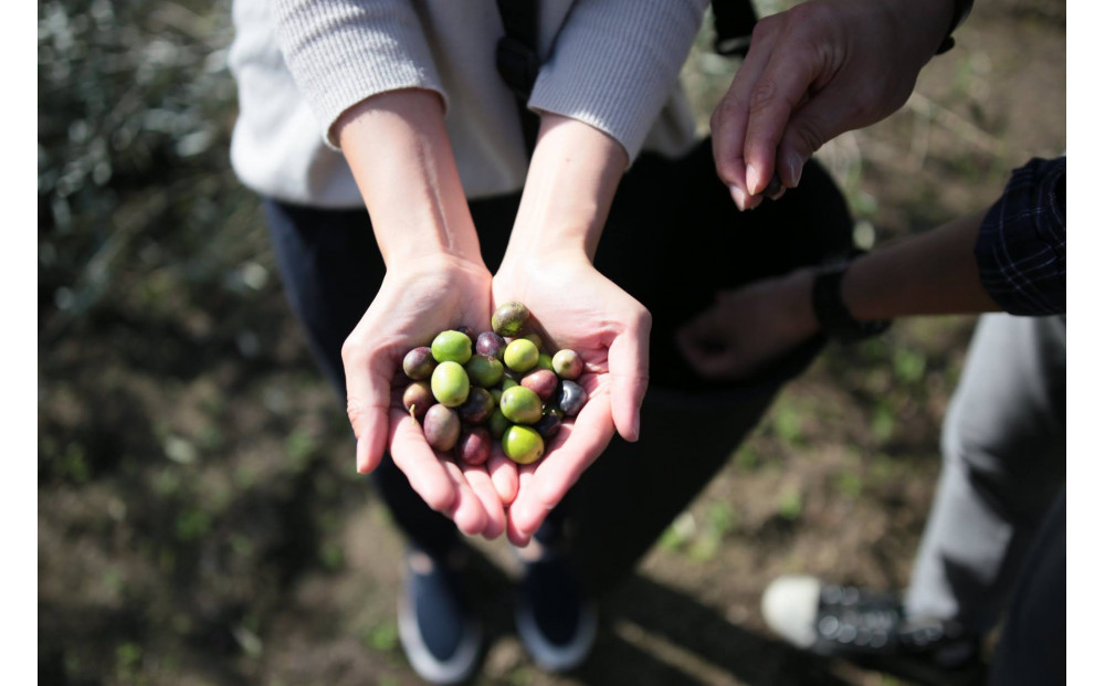小豆島産エキストラバージンオリーブオイル”ハンドメイド”1本とスペイン産純粋オリーブオイル1本／ 合計2本セット