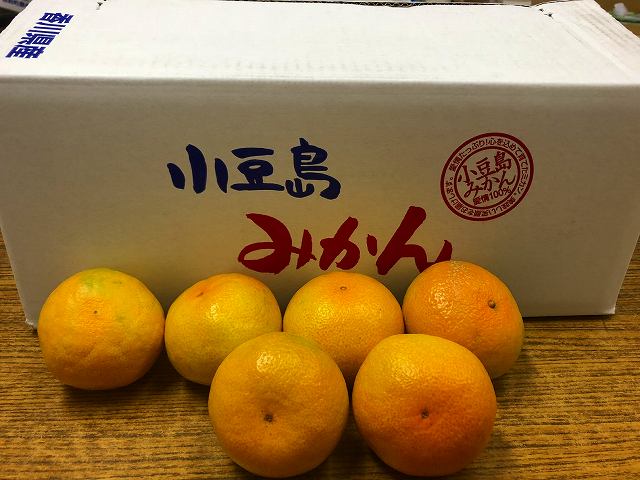 温州みかん 約6kg