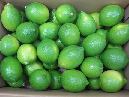 小豆島グリーンレモン 2kg