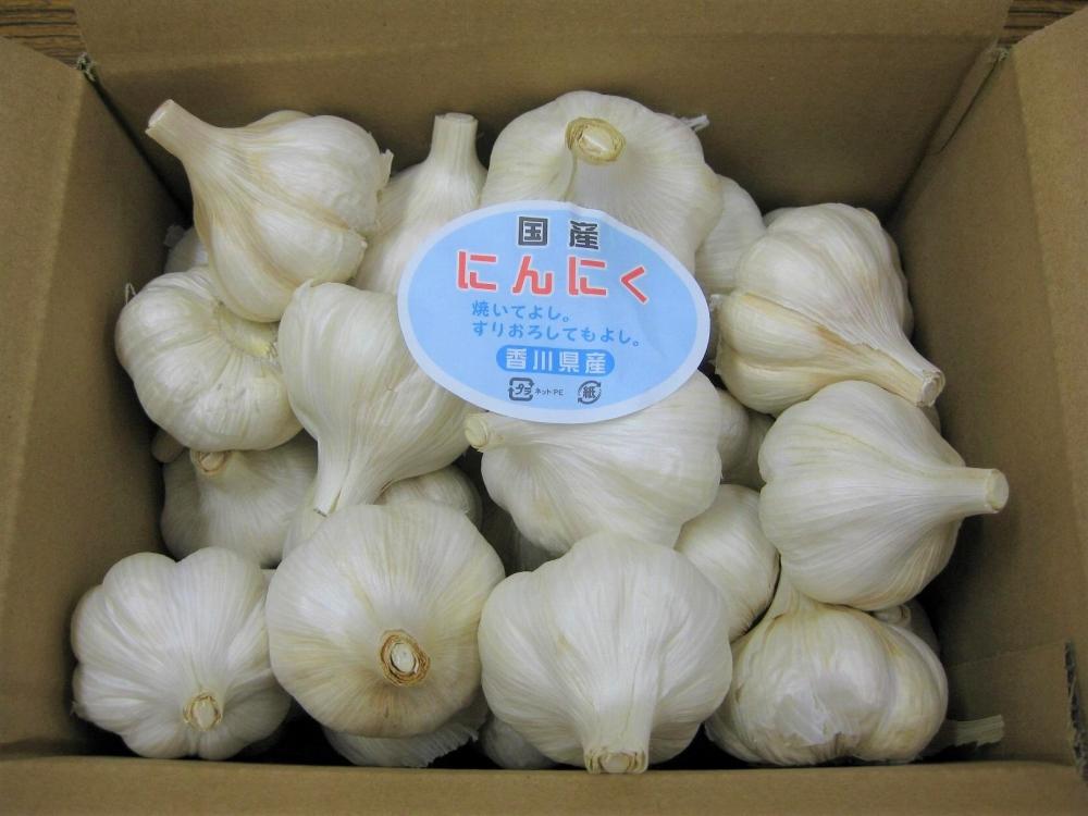 小豆島 乾燥にんにく 2.5kg ガーリック 野菜 やさい 国産