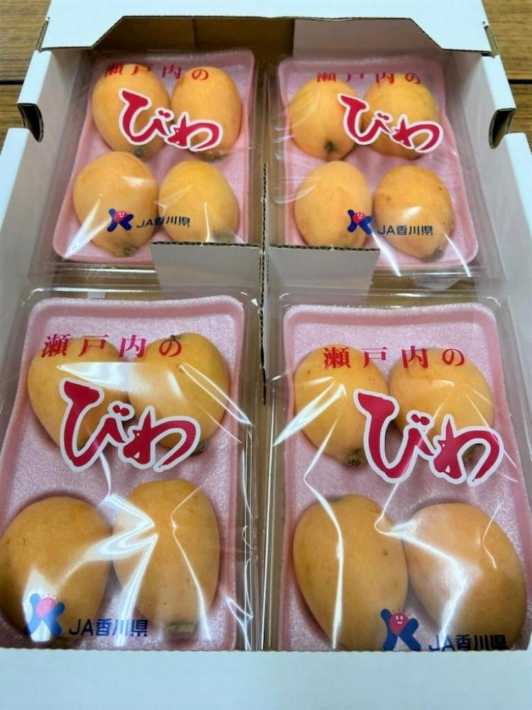 【さぬき讃フルーツ】びわ なつたより 約1kg(約250g×4)×2箱 枇杷 果物 くだもの フルーツ 人気 小豆島