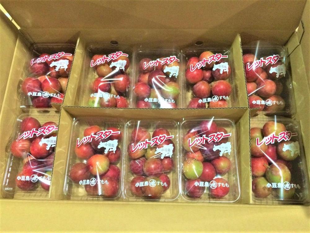 小豆島レットスター (すもも) 350g×10パック