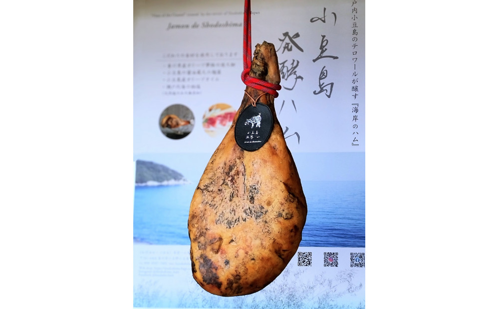国産生ハム 小豆島発酵ハム 19か月以上発酵熟成【骨付き原木1本】