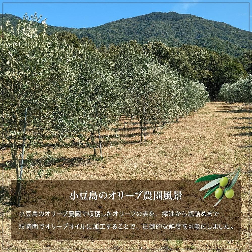 小豆島産100％エキストラバージン（EXV）オリーブオイル100ml3本入