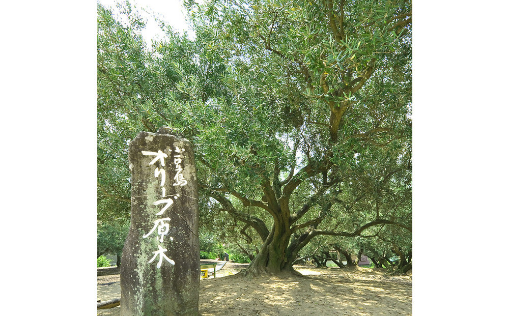 1stORIGINエキストラバージンオリーブオイル小豆島産100%（180g）【予約販売】