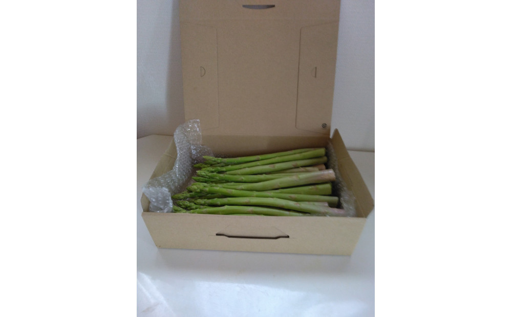 アスパラガス さぬきのめざめ 春芽 約1kg