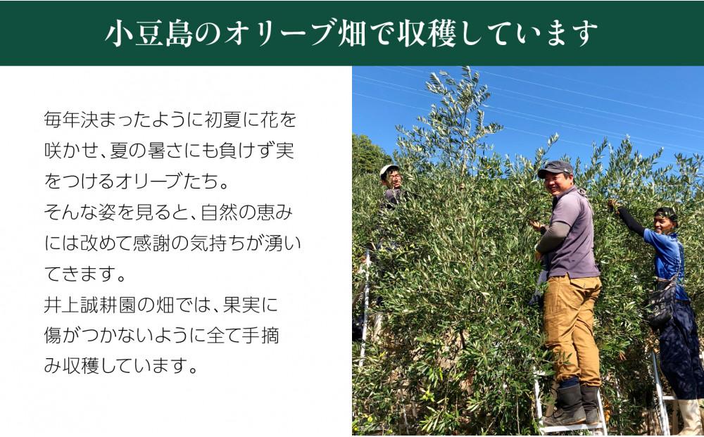 【井上誠耕園】～2025年初搾り～ 化粧用小豆島産エキストラヴァージンオリーブオイル (20ml×1本）