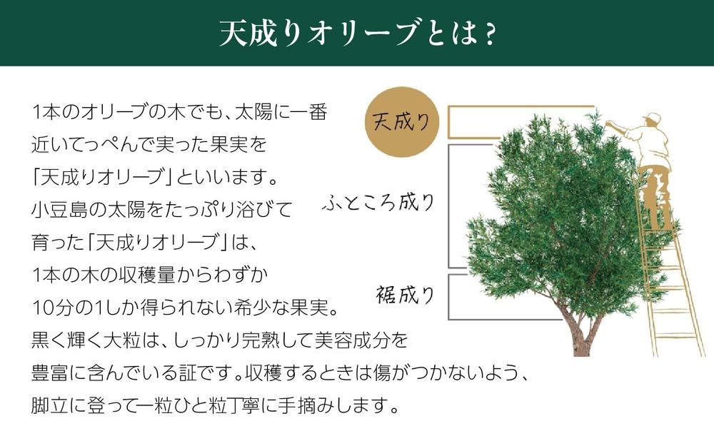 【井上誠耕園】～2025年初搾り～ 井上誠耕園産エッセンシャルオリーブオイル 30ml【化粧用】