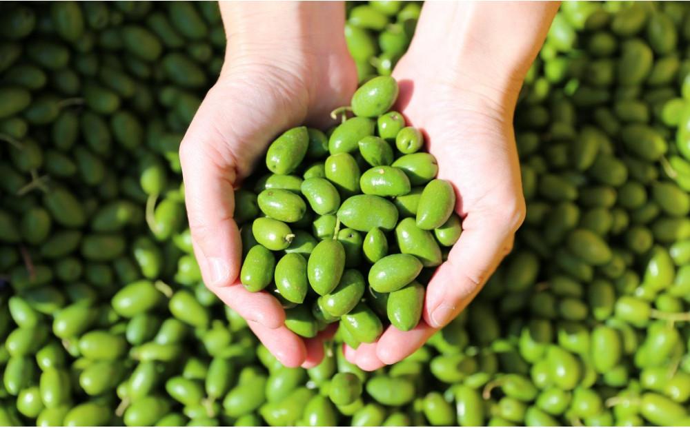 【井上誠耕園】～2025年初搾り～ 小豆島産手摘み緑果オリーブオイル (135g×2本)