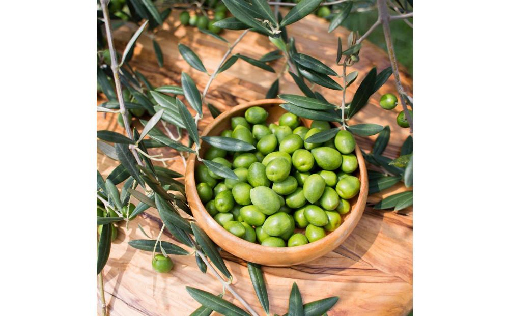 小豆島産 手延べオリーブパスタ 200g×3個セット