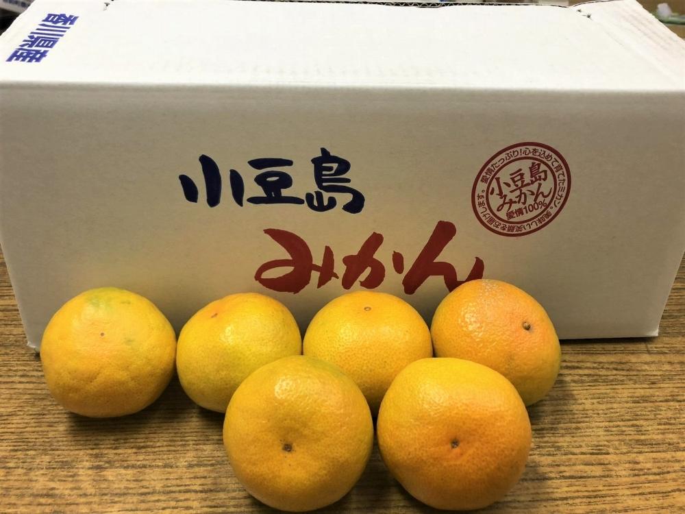 小豆島 由良早生みかん 3kg×2箱 (計6kg） 柑橘 フルーツ 果物 くだもの 柑橘 青果 人気