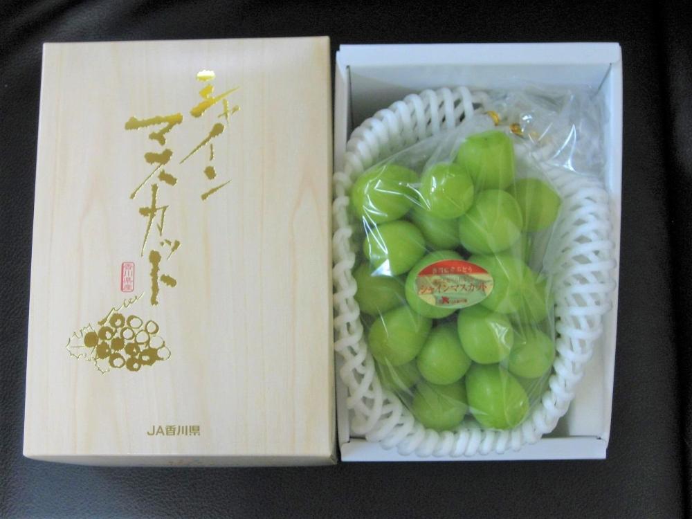 シャインマスカット 1房化粧箱入り (約550g)　ぶどう 葡萄 マスカット 果物 くだもの フルーツ