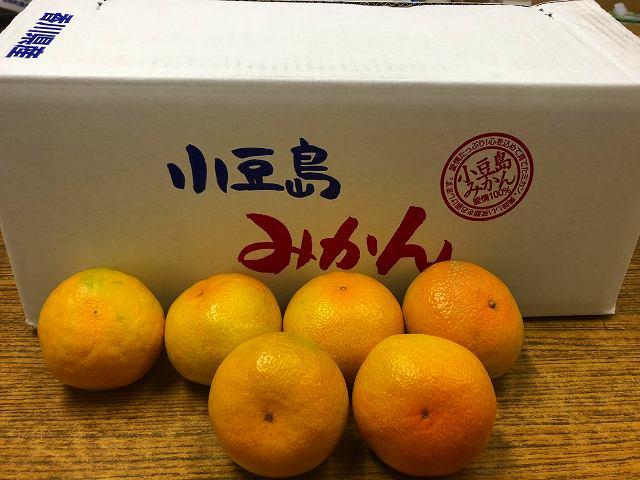 小豆島町フルーツ年3回定期便