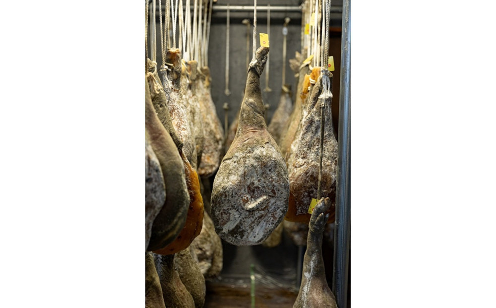 国産生ハム 小豆島発酵ハム 19か月以上発酵熟成【骨付き原木1本】