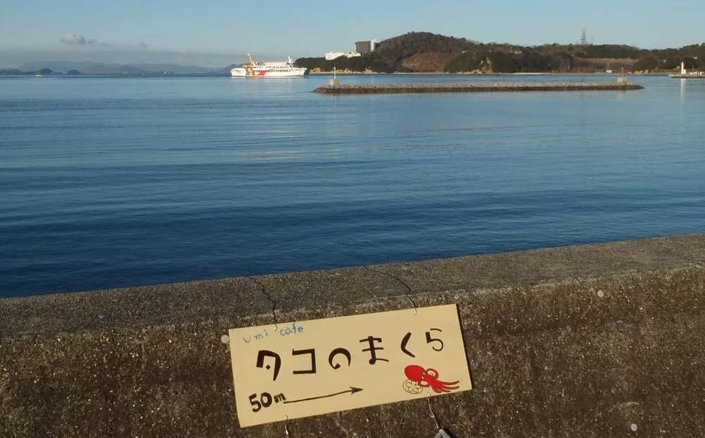 クラフトコーラ島の梅とレモンのタコーラ 4本(1本7～8杯分)