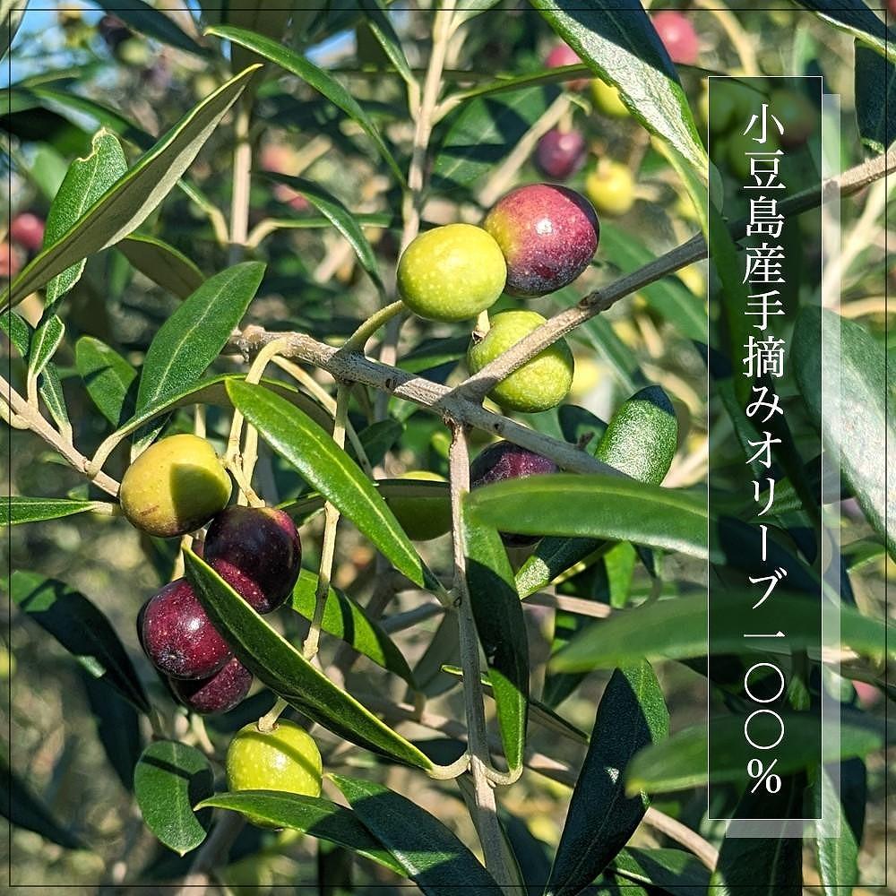 小豆島産100％エキストラバージン (EXV) オリーブオイル (単品) 150ml×3本