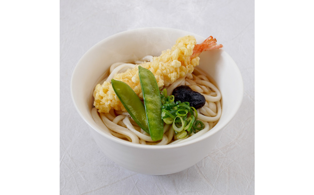 さぬき小豆島　手延冷凍調理うどん3種6食セット（カレー2/えび天2/牛肉2）