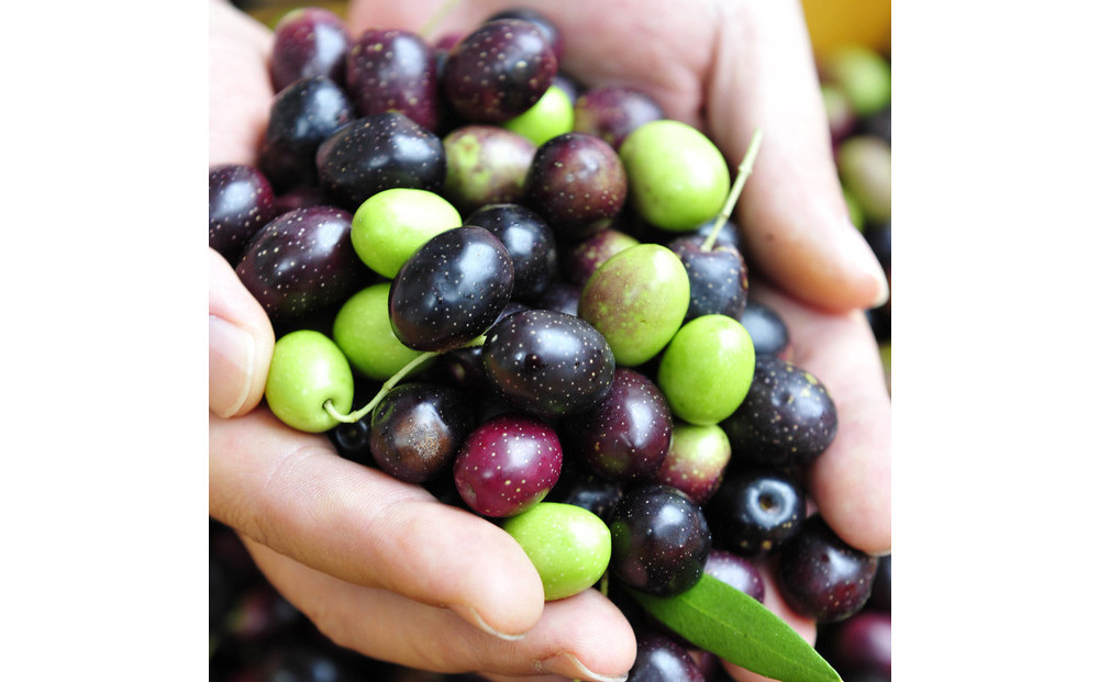 1stORIGINエキストラバージンオリーブオイル小豆島産100%（180g）【予約販売】