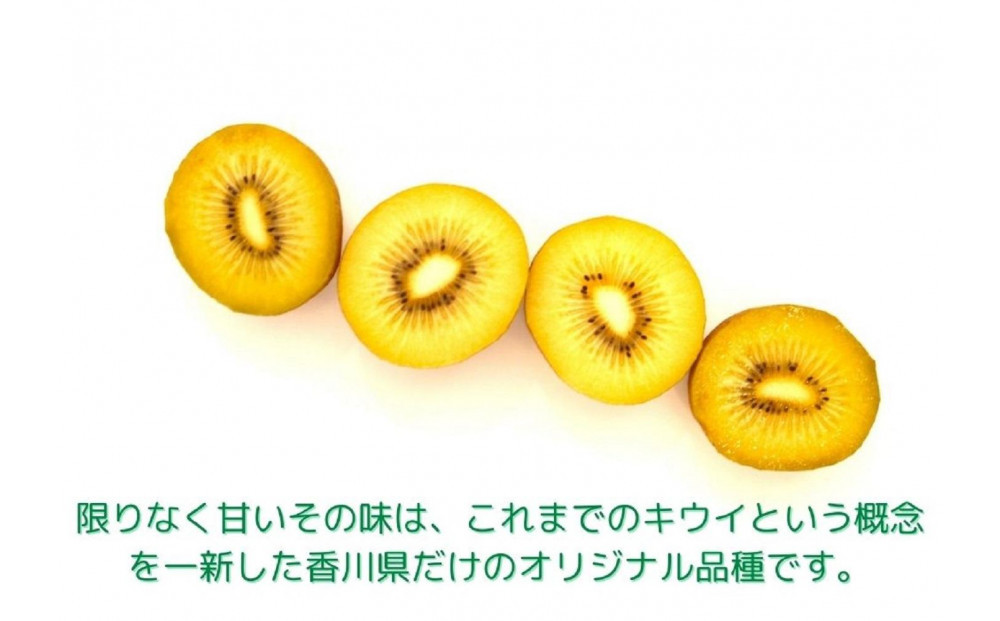 さぬきゴールド キウイフルーツ 1.3kg