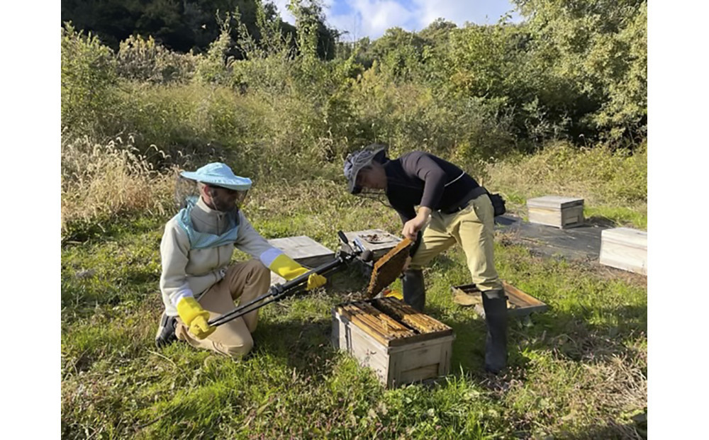 はちみつ 春の百花蜜 180g×2本 蜂蜜 高尾農園のはちみつ畑 国産 春採れ