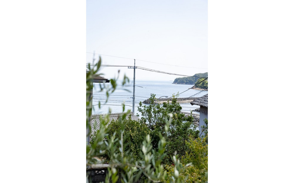 国産生ハム 小豆島発酵ハム 19か月以上発酵熟成【骨付き原木1本】