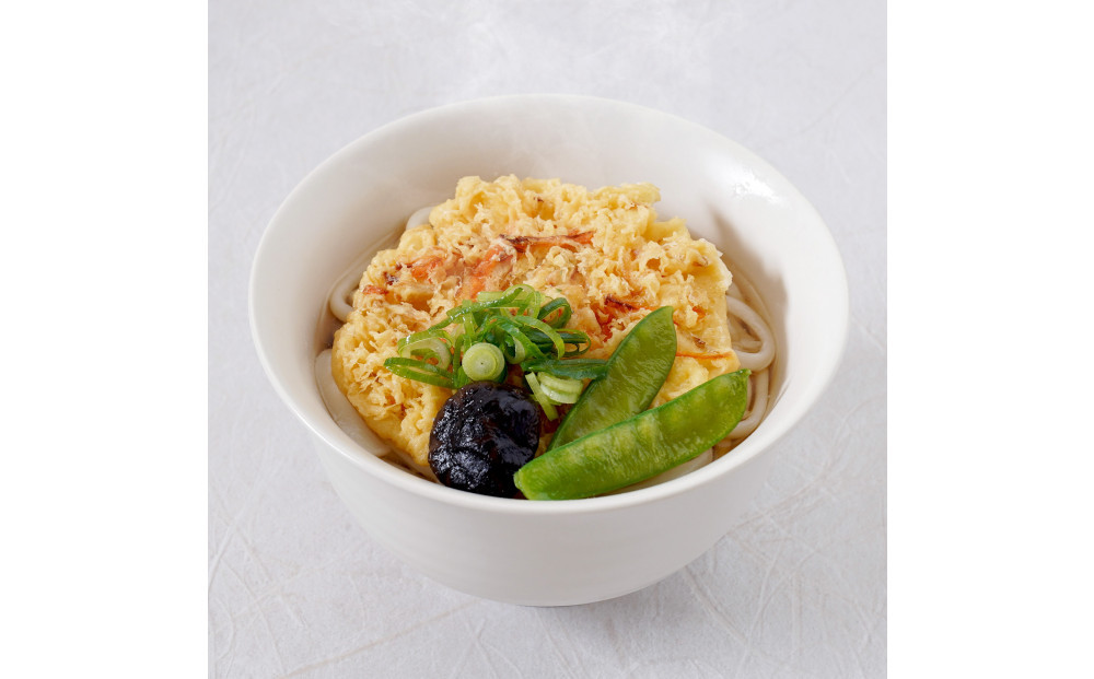 さぬき小豆島　手延冷凍調理うどん6種セット（カレー/えび天/牛肉/かきあげ/きつね/餅入りえび天）