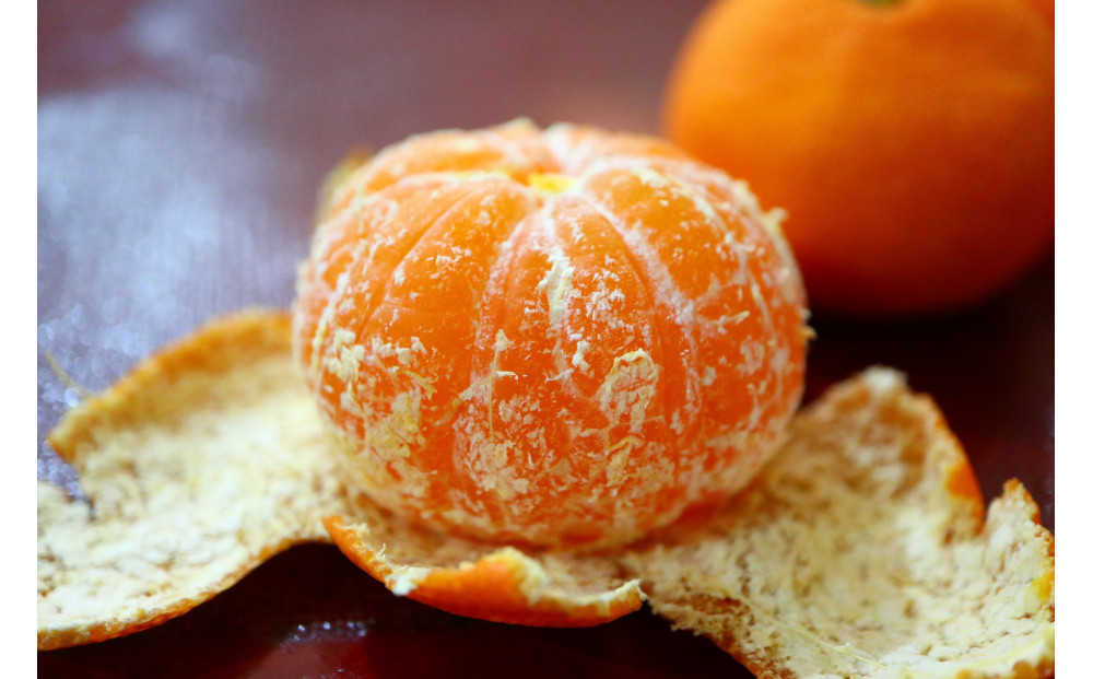 小原紅早生みかん(露地) 3.0kg