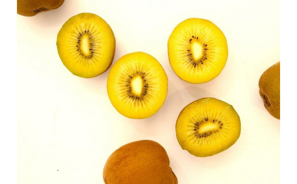 さぬきゴールド キウイフルーツ 1.3kg