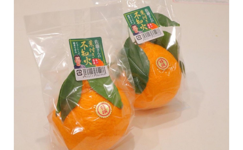 ハウス不知火 2.7kg