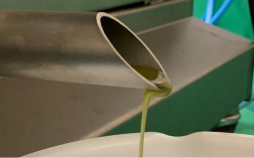 金両緑油　小豆島産プレミアムエキストラバージンオリーブオイル【ブレンド】