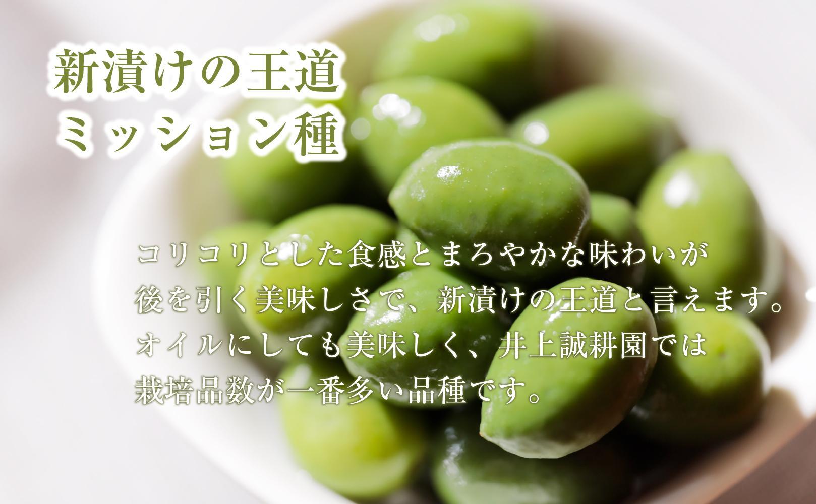 【井上誠耕園】～2025年とれたて～ 新漬けオリーブ ミッション種 80g×7袋