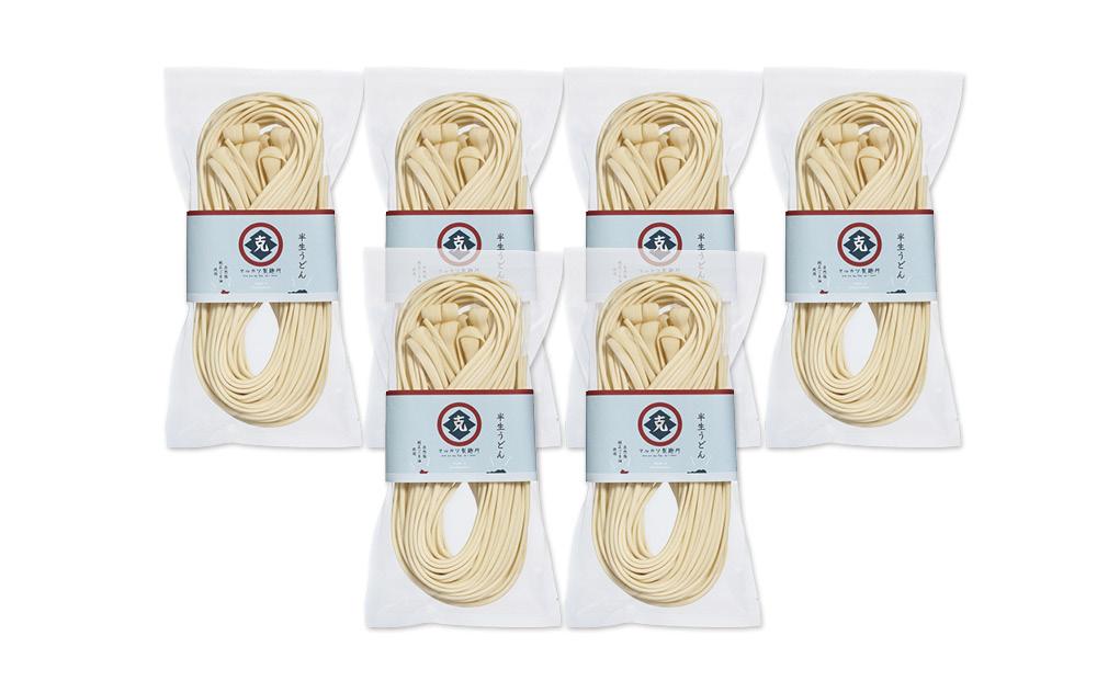 半生うどん 250g×6個　4人家族向け