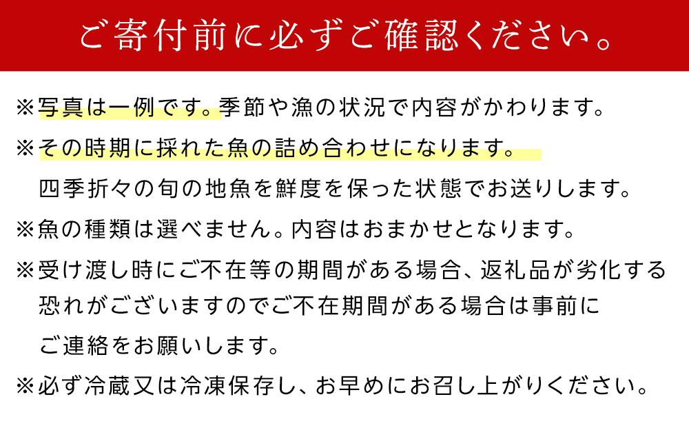 小豆島から直送！朝獲れ鮮魚 旬の地魚詰め合わせ 3kg以上