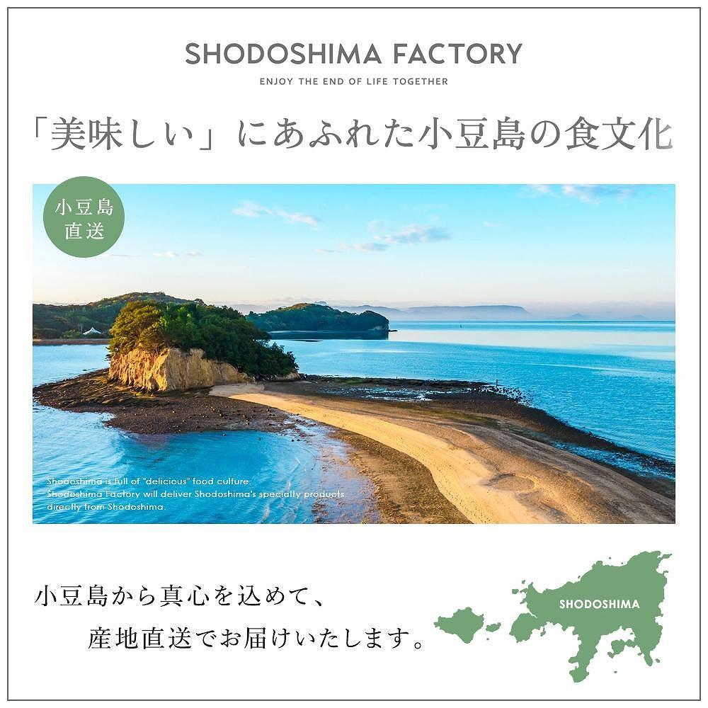 【ギフト用】小豆島産100％エキストラバージン(EXV) オリーブオイル(単品) 100ml×2本