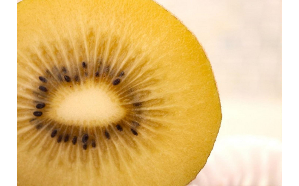 さぬきゴールド キウイフルーツ 900g