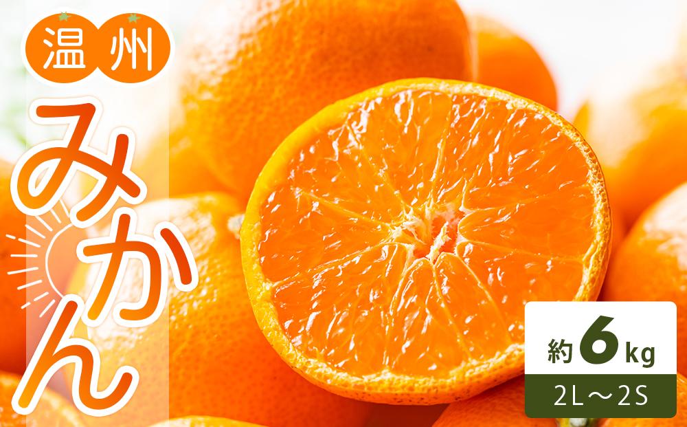 温州みかん 約6kg