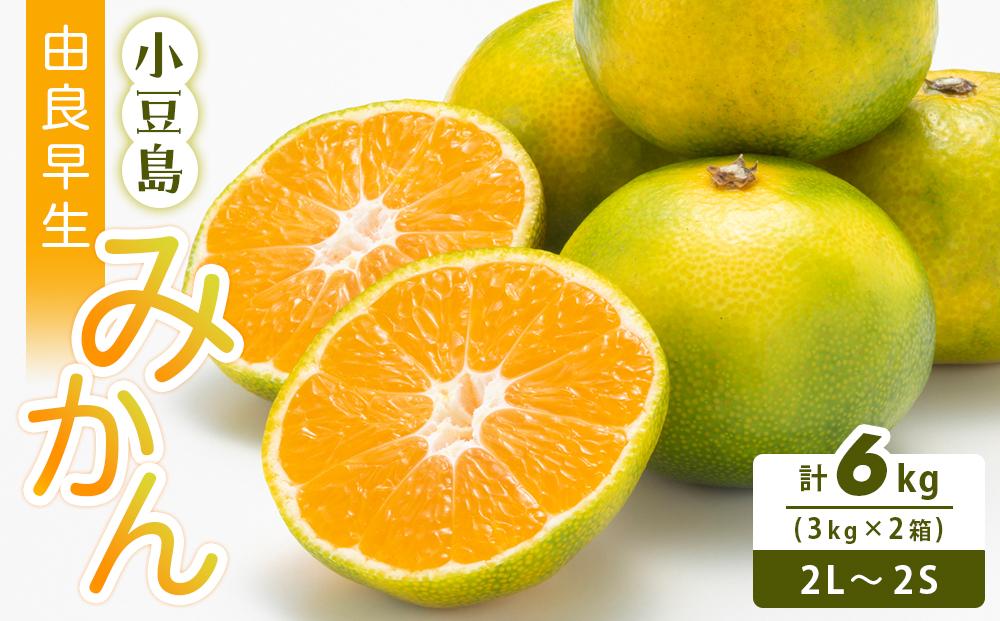 小豆島 由良早生みかん 3kg×2箱 (計6kg） 柑橘 フルーツ 果物 くだもの 柑橘 青果 人気