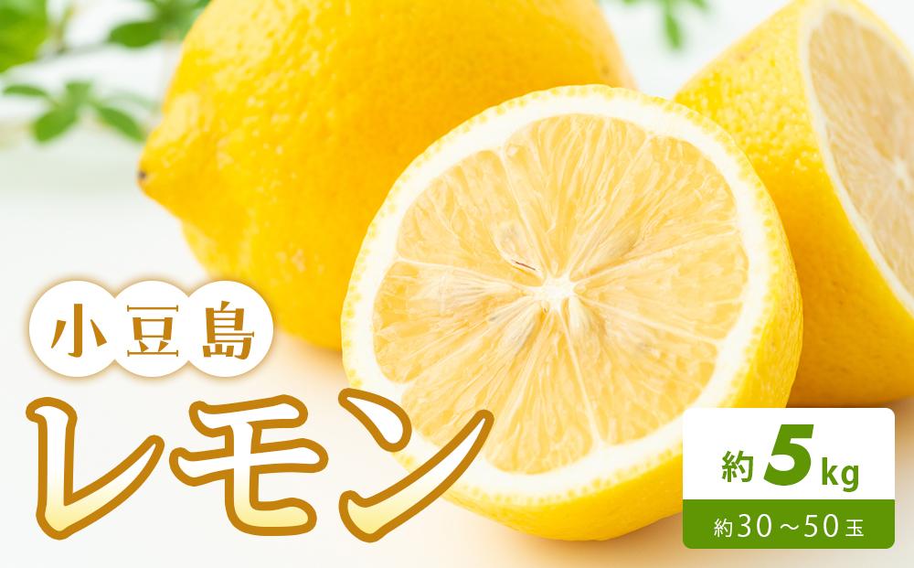 小豆島レモン 約5kg