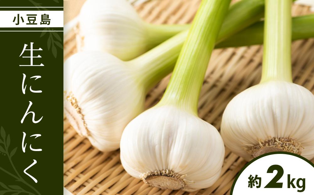 小豆島 生にんにく 2kg ガーリック 野菜 やさい 国産