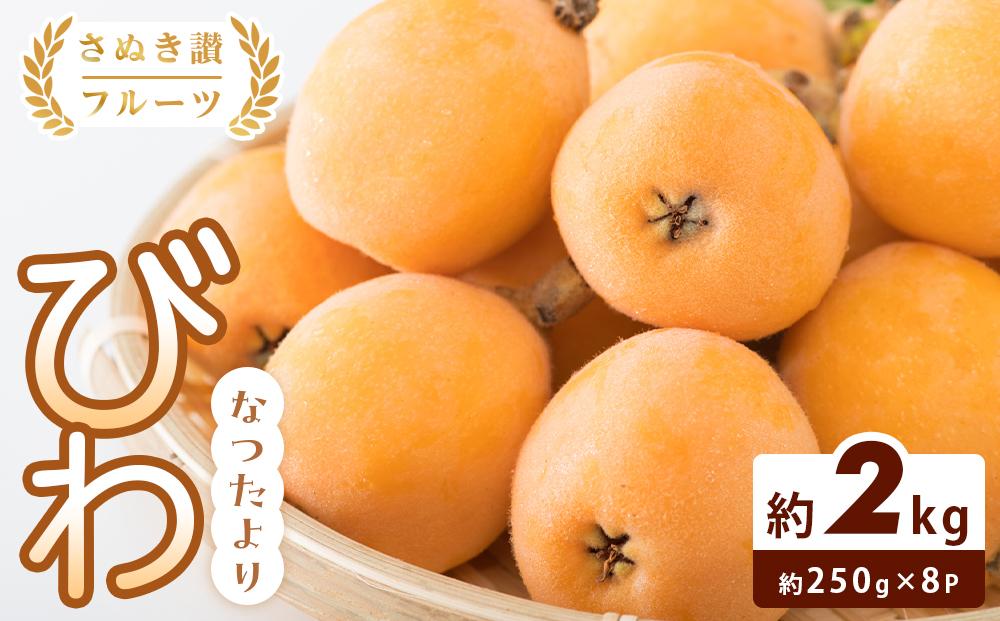 【さぬき讃フルーツ】びわ なつたより 約1kg(約250g×4)×2箱 枇杷 果物 くだもの フルーツ 人気 小豆島