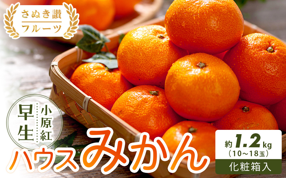 【さぬき讃フルーツ】小原紅早生ハウスみかん 化粧箱入り 約1.2kg (10～18玉入り)  柑橘 フルーツ 果物 くだもの 柑橘 青果 人気 小豆島